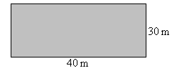 a rectangle with length 40 m and width 30 m