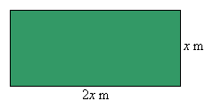 A rectangular paddock with length 2x m and width x m.