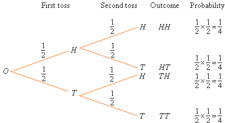 A tree diagram showing the possible outcomes and probabilities from tossing two coins.
