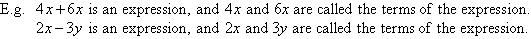 4x + 6x is an example of an expression where 4x and 6x are called the terms of the expression.  2x - 3y is another example of an expression with two terms.