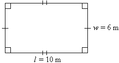 A rectangle of length 10 m and width 6 m